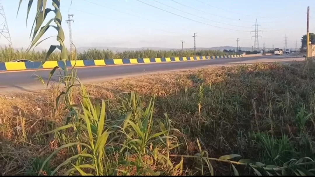 Land Property For Sale in Lattakia