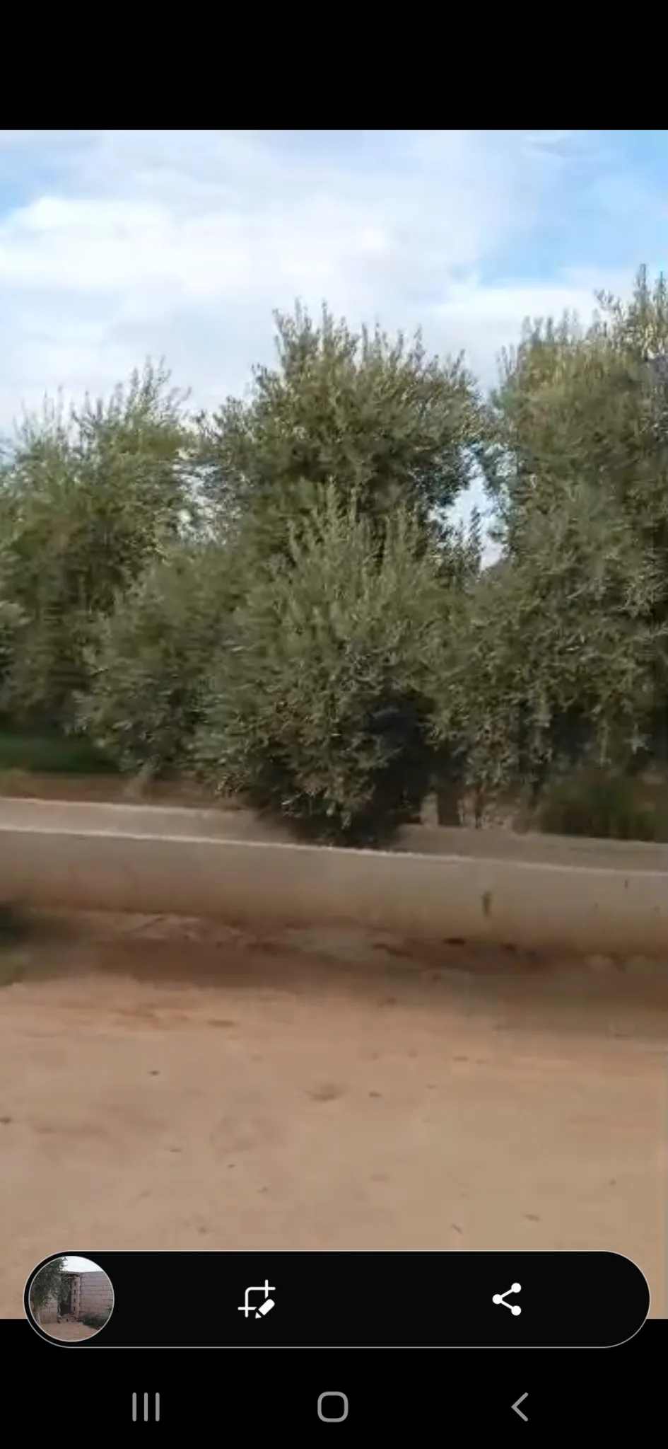syria house property sale farmhouse ready to move al raqqa zr qk