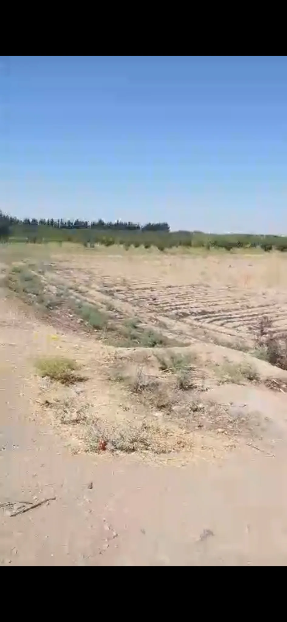 syria house property sale land al raqqa ft ib